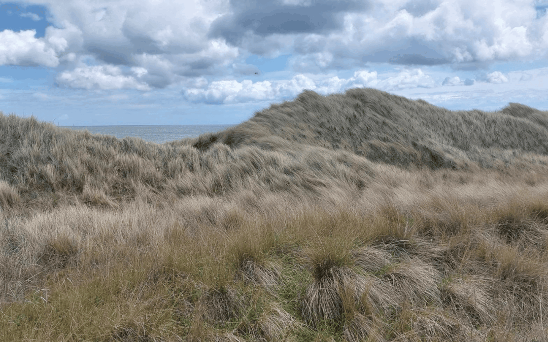 St. Andrews West Sands