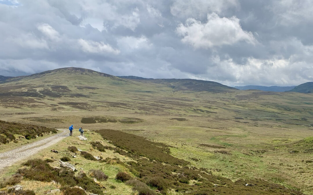 Northern Lowlands